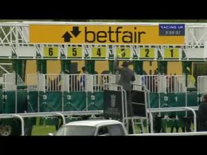 Video preview image for Chester 14:50 - Betfair Stand Cup (Listed)