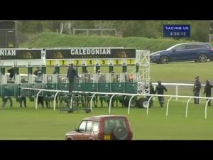 Video preview image for Musselburgh 16:50 - EBF Scottish Premier Series Fillies' Handicap