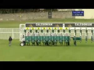 Video preview image for Musselburgh 17:25 - Flying Scotsman Nursery