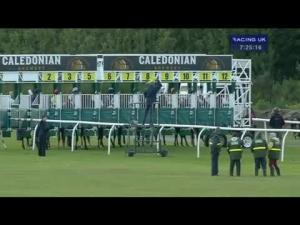 Video preview image for Musselburgh 19:25 - Around The Ragged Racecourse Rachel Ralston Ran Handicap