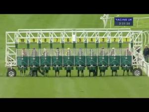 Video preview image for Catterick Bridge 14:30 - ebfstallions.com Median Auction Maiden Stakes (Div 2)