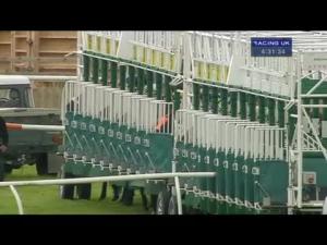 Video preview image for Catterick Bridge 16:30 - Cng Handicap