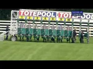 Video preview image for Beverley 14:05 - Bet Toteplacepot Claiming Stakes