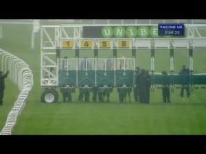 Video preview image for Sandown Park 14:50 - Max Patel Wealth Manager Of Choice Conditions Stakes (Plus 10)