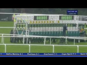 Video preview image for Sandown Park 17:00 - Wildwood Golf and Country Club Fillies' Handicap