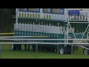 Video preview image for Ayr 16:35 - William Hill Handicap (For The Kilkerran Cup)