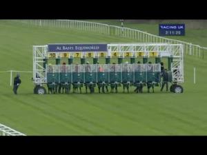 Video preview image for Newbury 14:10 - Al Basti Equiworld EBF Stallions Maiden Stakes (Plus 10)