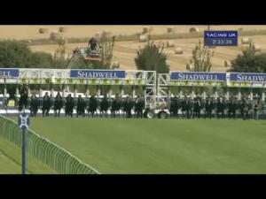 Video preview image for Ayr 14:30 - Shadwell Stud Nursery