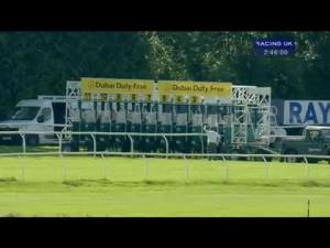 Video preview image for Newbury 14:45 - Dubai Duty Free Finest Surprise Handicap