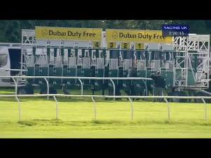 Video preview image for Newbury 15:20 - Dubai Duty Free Handicap