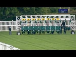 Video preview image for Newbury 15:55 - Haynes, Hanson & Clark Conditions Stakes (Plus 10) (Str)