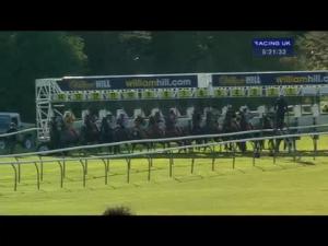 Video preview image for Ayr 17:20 - Qts Group Handicap