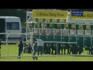 Video preview image for Newbury 13:45 - Dubai Duty Free Legacy Cup (Registered As The Arc Trial) (Group 3)
