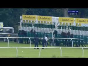 Video preview image for Newbury 14:50 - Dubai Duty Free Handicap