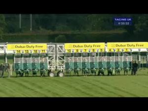 Video preview image for Newbury 16:35 - Heatherwold Stud Handicap (Str)