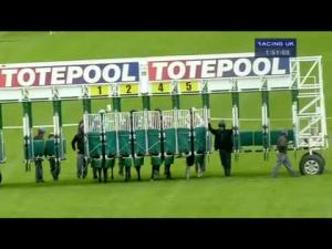 Video preview image for Hamilton Park 13:50 - Bet Toteplacepot Auction Nursery