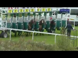 Video preview image for Hamilton Park 15:50 - Win A Football Fortune With Scoop6soccer Handicap