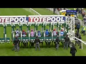 Video preview image for Hamilton Park 16:20 - Bet Totetrifecta Handicap
