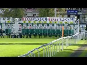 Video preview image for Hamilton Park 14:50 - Toteexacta Pick The 1st and 2nd Handicap (Div 2)