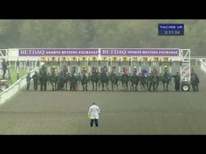 Video preview image for Kempton Park 15:10 - Cash Out On The Betdaq app/EBF Stallions Maiden Fillies' Stakes (Plus 10) (Div 1)