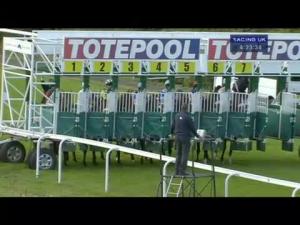 Video preview image for Hamilton Park 16:20 - Totetrifecta Pick The 1,2 3 Maiden Stakes