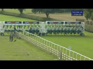 Video preview image for Beverley 16:00 - George Kilburn Memorial Handicap