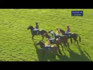 Video preview image for Warwick 16:40 - Download The Winner App Handicap Chase