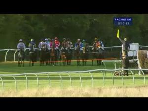 Video preview image for Warwick 17:10 - Winner Bet and Watch Mares' Handicap Hurdle