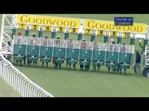 Video preview image for Goodwood 14:00 - British Stallion Studs EBF Maiden Stakes