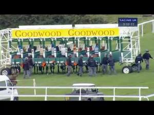 Video preview image for Goodwood 15:10 - Caterers Day Handicap