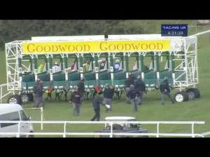 Video preview image for Goodwood 16:20 - Universal Meats Chicken Handicap