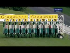 Video preview image for Goodwood 16:55 - Bidvest Foodservice Handicap
