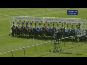 Video preview image for Newmarket 14:00 - Ngk Spark Plugs EBF Stallions Maiden Stakes (Plus 10)