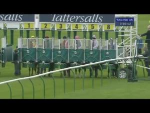Video preview image for Newmarket 15:40 - Somerville Tattersall Stakes (Group 3)