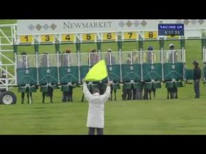 Video preview image for Newmarket 16:15 - Jockey Club Rose Bowl (Formerly The Fenwolf Stakes) (Listed)