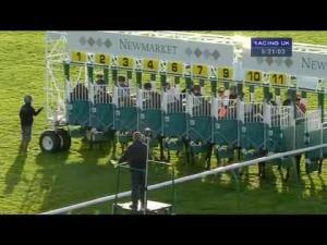 Video preview image for Newmarket 17:20 - 1stsecuritysolutions.co.uk Handicap