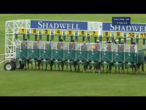 Video preview image for Newmarket 13:55 - Mukhadram Rosemary Stakes (Fillies' Listed)
