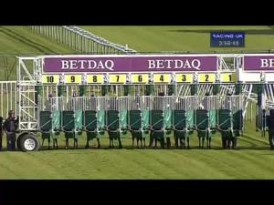 Video preview image for Haydock Park 15:55 - Brown Shipley Nursery