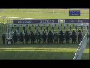 Video preview image for Haydock Park 17:05 - Duke Of Lancaster's Regiment Handicap