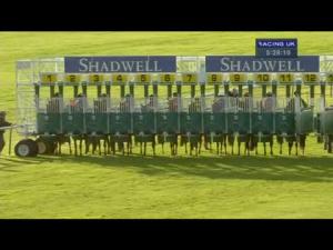 Video preview image for Newmarket 17:25 - Shadwell Farm Handicap (Silver Cambridgeshire)