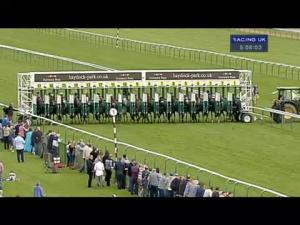 Video preview image for Haydock Park 17:05 - Beer Studio Handicap