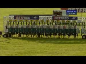 Video preview image for Newmarket 17:35 - racingfx.co.uk Handicap