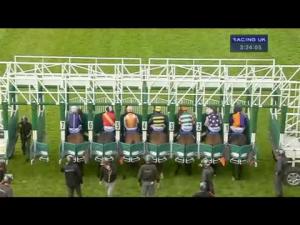 Video preview image for Hamilton Park 15:20 - Jack Webster Classified Claiming Stakes
