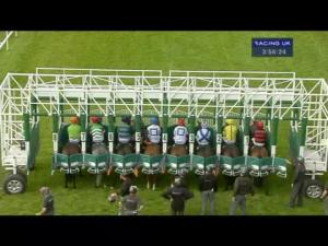 Video preview image for Hamilton Park 15:50 - EBF Stallions Conditions Stakes