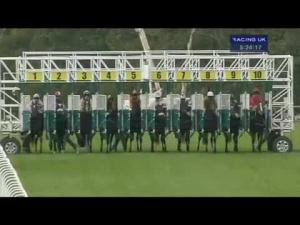 Video preview image for Hamilton Park 17:20 - Join The Racing UK Club Handicap