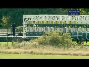 Video preview image for Nottingham 15:10 - Welcome To The Autumn Season At Nottingham Nursery