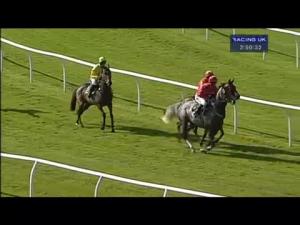 Video preview image for Bangor-On-Dee 14:50 - Malise Nicolson Novices' Chase (For The Cross Foxes Trophy)