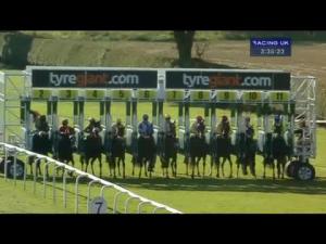 Video preview image for Beverley 15:35 - Eppleworth Fillies' Handicap