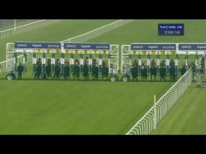 Video preview image for Ascot 14:00 - Albert Bartlett Stakes (Registered As The Rous Stakes) (Listed)