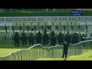 Video preview image for Ayr 15:50 - Guinness Golden Ale Handicap